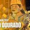 Samba enredo Leão Dourado 2024 capa