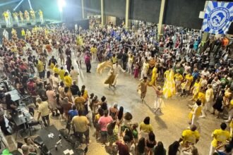 Samba e Bandeiras Carnaval Rio Claro