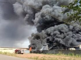 Incendio Cordeirópolis