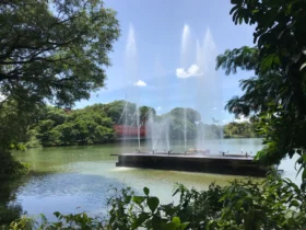 Campinas